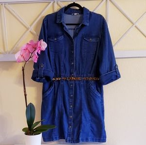 Plus Cato Denim Dress